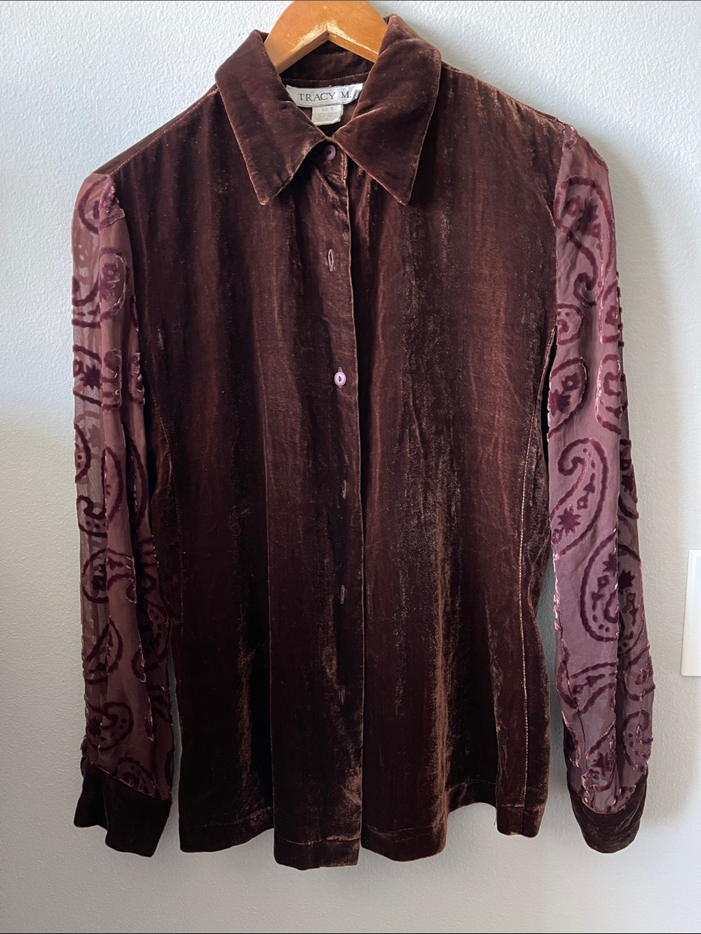 Y2K Tracy M Velvet Button-Front Blouse with Burnout Sleeves - dark Brown
